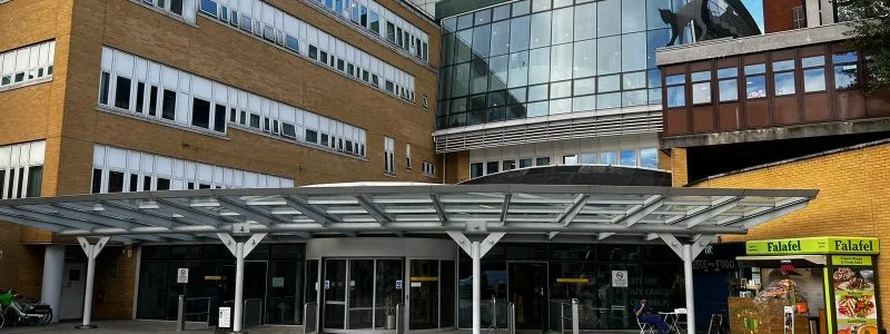 Whittington 5 MD